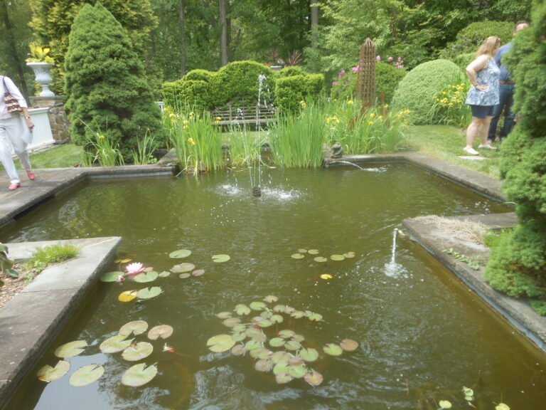 ernst-2019-06-01-132900_1_orig