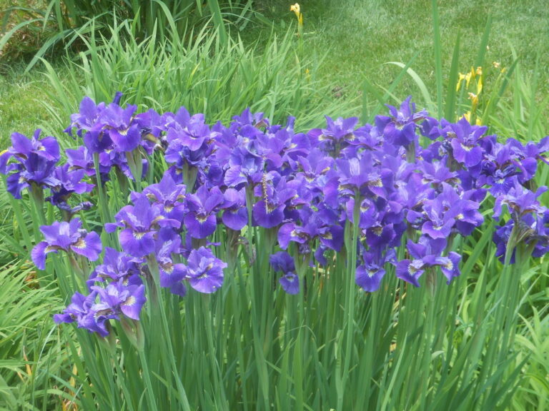 ernst-2019-06-01-132930_1_orig