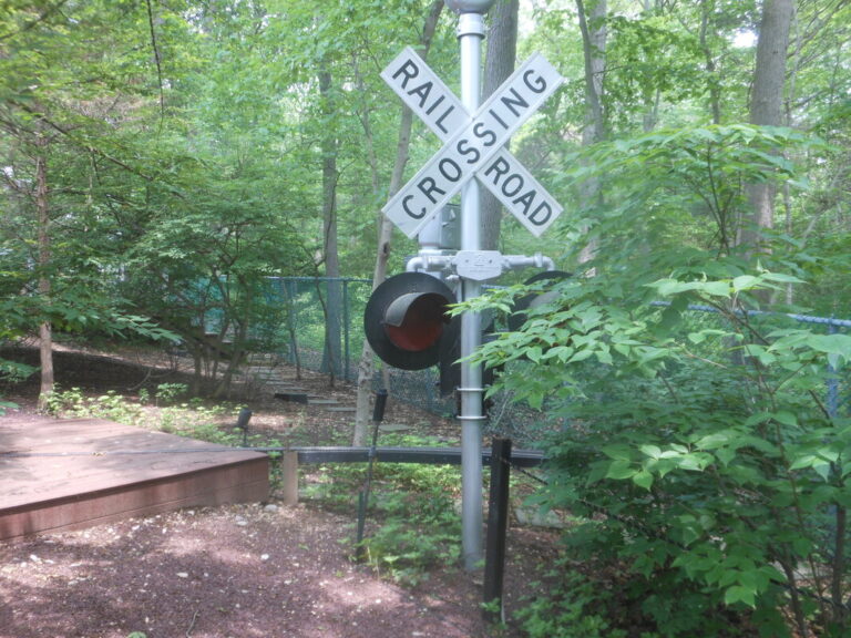 ernst-2019-06-01-134818_1_orig