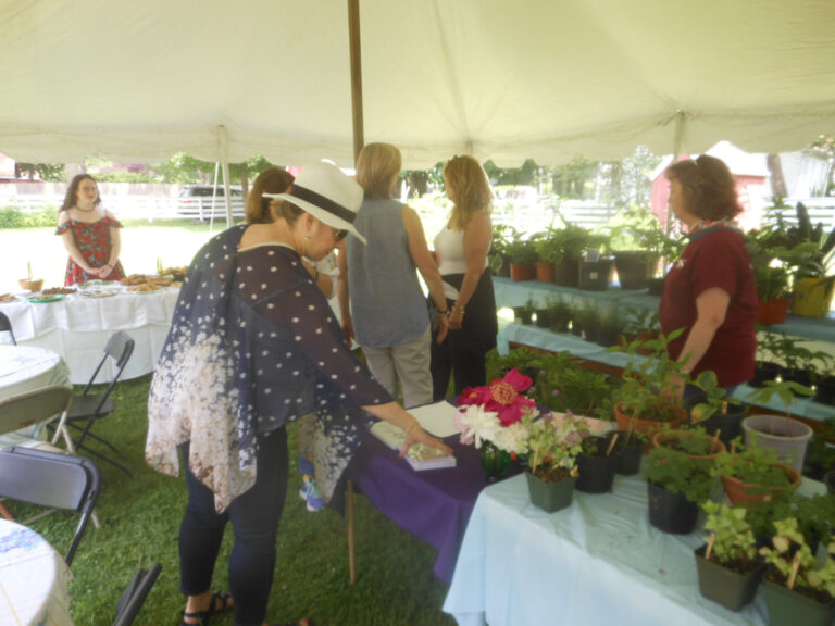 ernst-2019-06-02-115040_1_orig