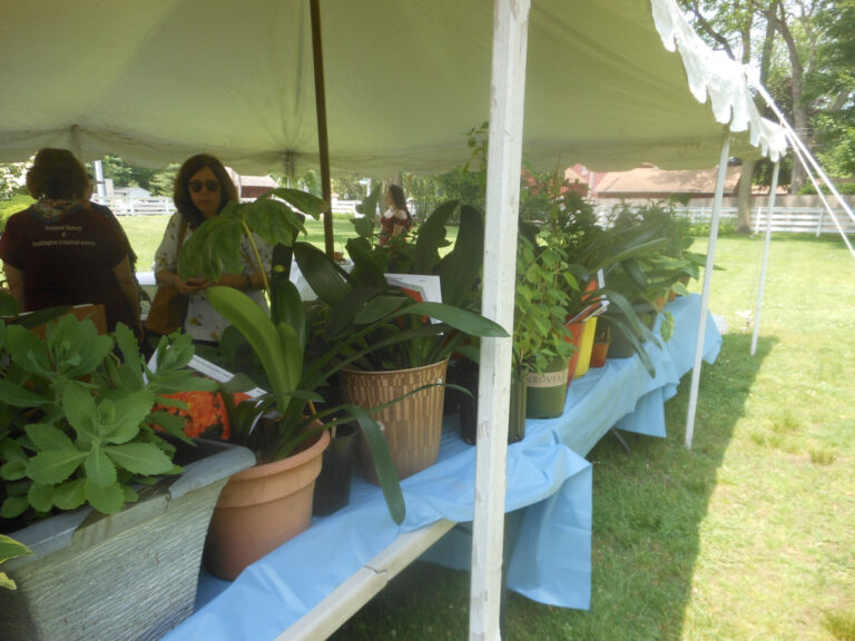 ernst-2019-06-02-115116_1_orig