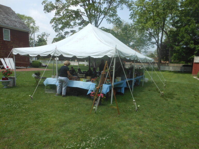 ernst-2019-06-02-121420_1_orig