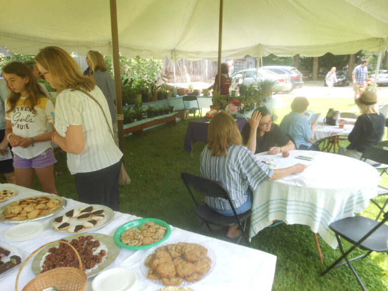 ernst-2019-06-02-121528_1_orig