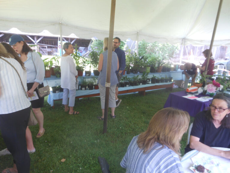 ernst-2019-06-02-121536_1_orig