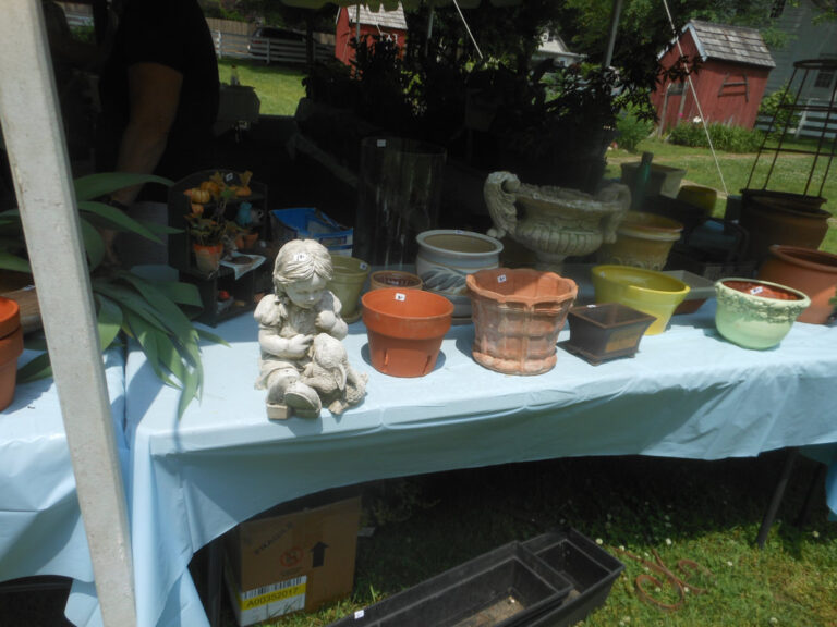 ernst-2019-06-02-121642_1_orig