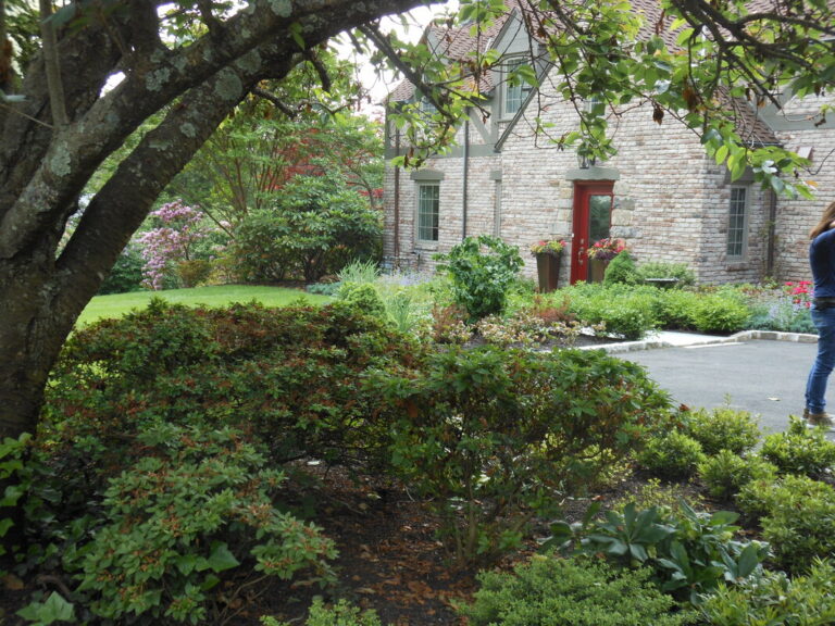 ernst-2019-06-02-145238_1_orig