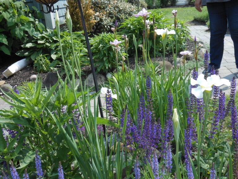 ernst-2019-06-02-153224_1_orig