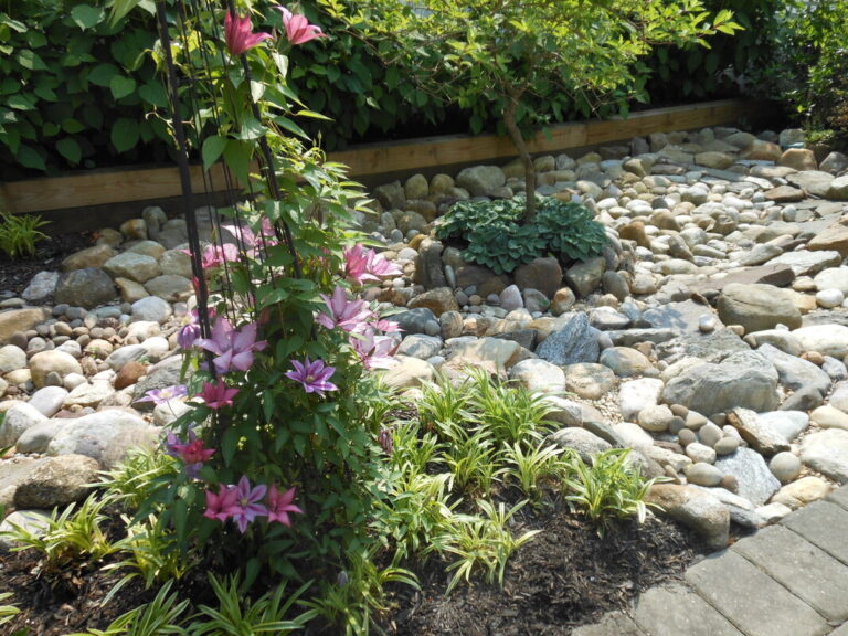 ernst-2019-06-02-153410_1_orig