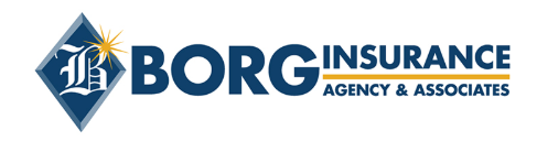 Borg Insurnace logo