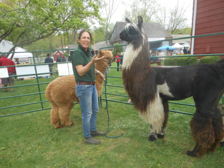 Ernst_2018_05_06_123141